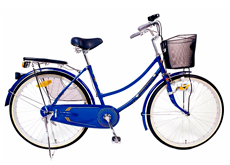 24"city bikes